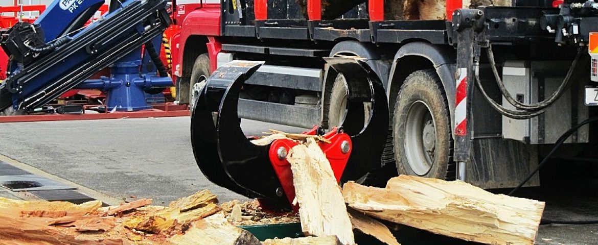 PALFINGER Grabilica za cijepanje trupaca